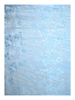 FB205 - Light Blue Floral Shameuse Silk